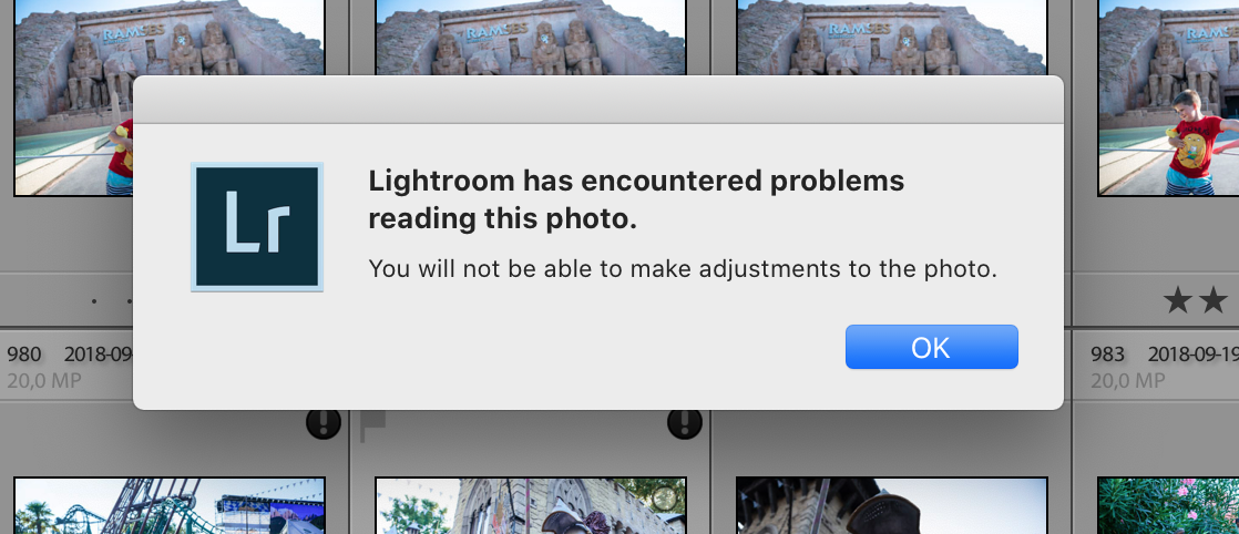 Lightroom problems reading own DNG format